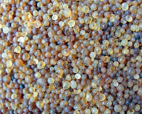 PROSORB BOLITAS (KILO) 40%