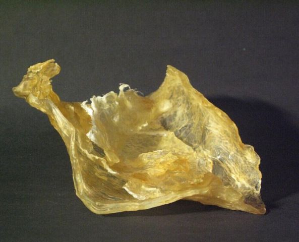 COLA DE ESTURION RUSA AUTENTICA Peso: 25 gr.