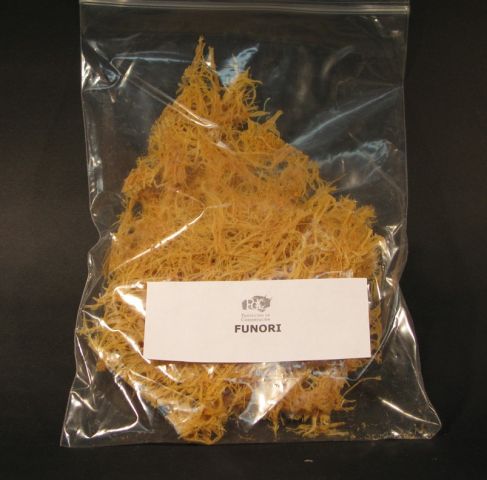 FUNORI (50 GRS)