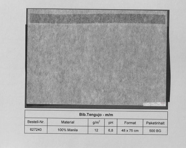 PAPELES JAPONESES BIB TENGUYO 48x75cm 12grs