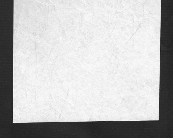 PAPELES JAPONESES 25439 HARUKI NETUR 46x61cm 43grs