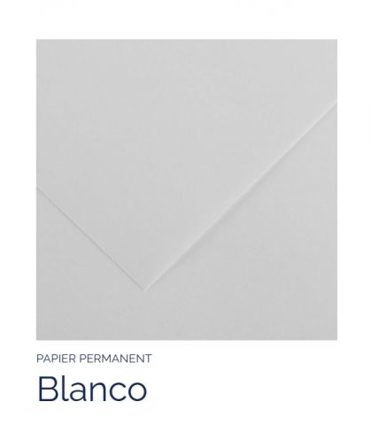 PAPEL PERMANENTE CANSON BLANCO 80x120cm 170gr