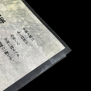 605x845mm BOLSAS POLIESTER TRANTEC (PACK 10) 250mic A1