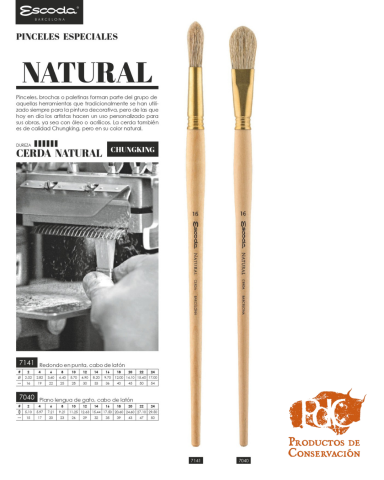 PINCEL CLÁSICO CERDA BLANCA S.7040 Nº24 (Escoda) 