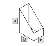 CAJA PARA REVISTAS (Beskid VIIa) Cartón Francesco 1,3mm 220x150x60mm